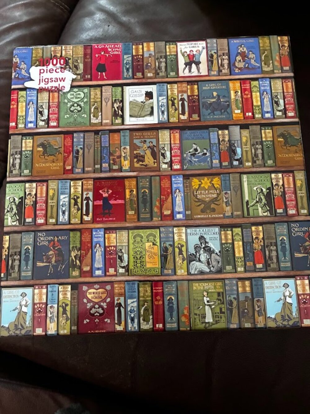 Library Puzzle (1,000 pieces) - Perfect for Book Lovers